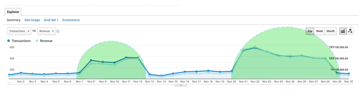 Campaign period website traffic chart